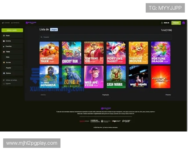 PG娱乐平台游戏入口支持多种支付方式，确保玩家充值提现的安全与便捷