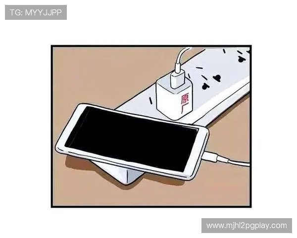 PG娱乐电子游戏网站试玩安全指南保障玩家个人信息和资金安全的实用建议